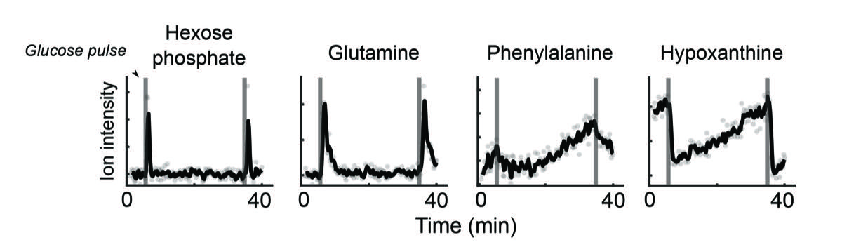 Figure 15
