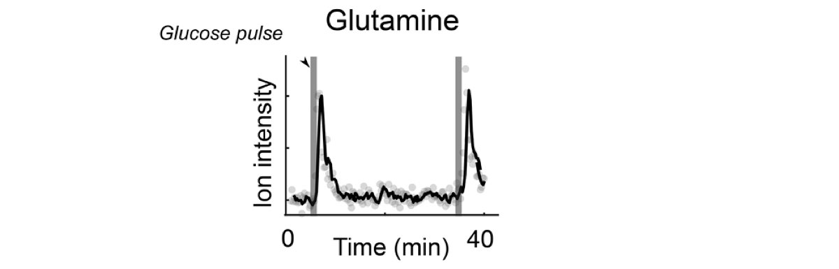 Figure 21